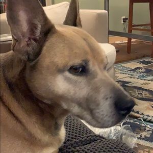 Meet your Posher, Gia